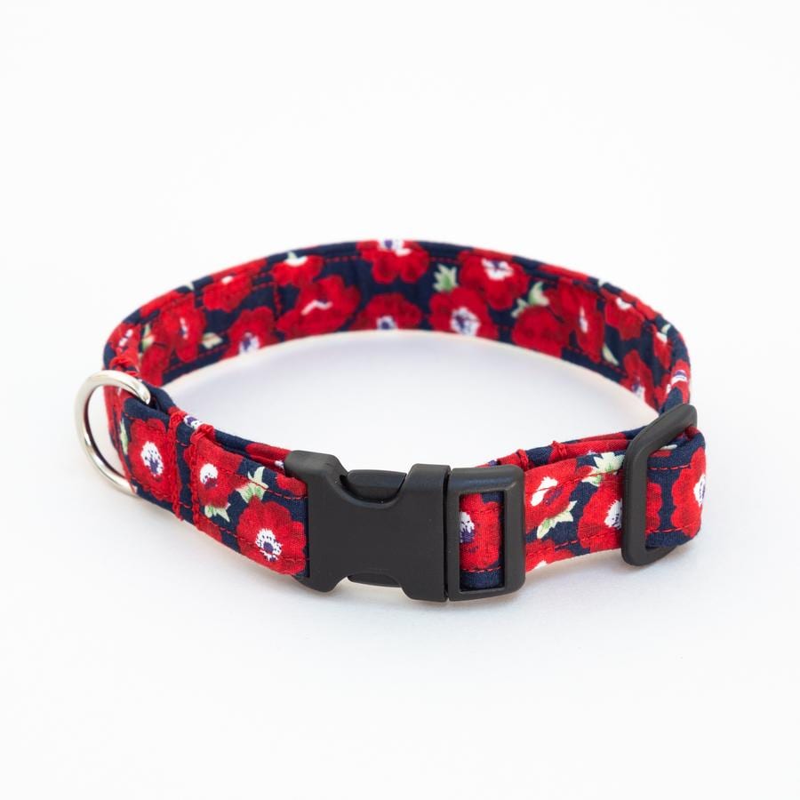 Luxury Dog Collar