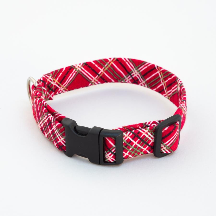 Luxury Dog Collar